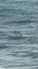 Surfers waiting for waves off Netanya's rocky coastline