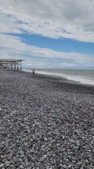Morning scenes from Sochi beaches and street cats documented