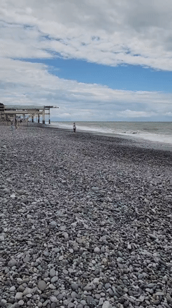 Morning scenes from Sochi beaches and street cats documented