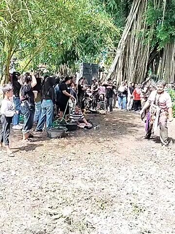The video shows a gathering of people in what appears to be an outdoor space. They are gathered around a bare dirt patch under a large tree with visible aerial roots. In the center of the patch, two individuals appear to be engaged in a traditional dance or martial art display. They are wearing striped shirts and some sort of wrap or cloth around their waists. A drummer is near them, providing musical accompaniment. The audience consists of people of various ages, some of whom are taking photos or videos. There is a speaker and audio equipment to the left of the crowd. The ground is covered in dirt and leaves, and the lighting suggests it is a sunny day.