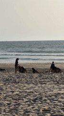 Beach activity observed near Rishon LeZion under overcast skies
