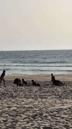 Beach activity observed near Rishon LeZion under overcast skies
