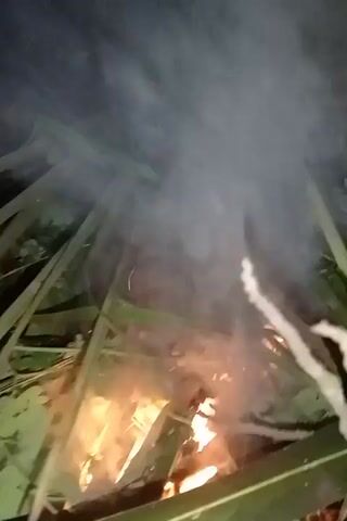 The video shows a close-up view of a fire burning amidst green foliage. The flames are bright orange and yellow, with wisps of grey smoke rising upwards. The foliage appears to be tropical, with long, broad leaves. The fire seems to be contained within a structure or arrangement of the foliage, possibly a makeshift fire pit or a burning bundle of leaves. The lighting is dim, suggesting it is nighttime or the area is heavily shaded. The camera angle is looking down into the fire, giving a sense of immersion.