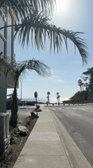 Palm-lined streets captured in sunny Solana Beach views