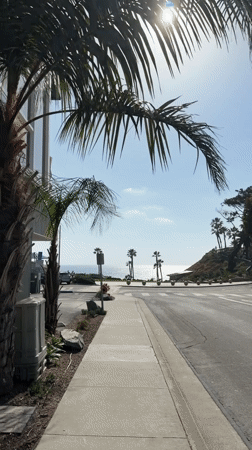Palm-lined streets captured in sunny Solana Beach views