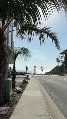 The video shows a seaside view on a sunny day. Palm trees frame the shot, partially obscuring the bright sun. A gray sidewalk runs along the left side of the frame, next to a street with crosswalk markings. On the opposite side of the street, a low cliff overlooks the ocean, topped with more palm trees and greenery. The ocean is visible in the background, a bright blue under a clear sky with a few scattered clouds. A gray building stands on the left, partially hidden by the palm trees.  There's a parking area next to the building, with at least one car visible.