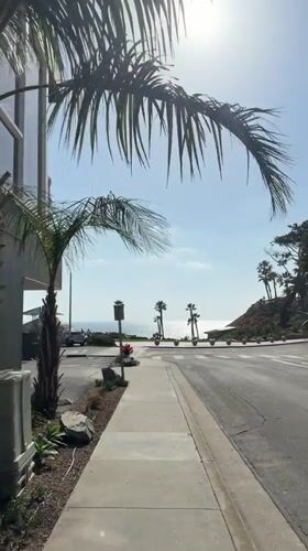 Palm-lined streets captured in sunny Solana Beach views