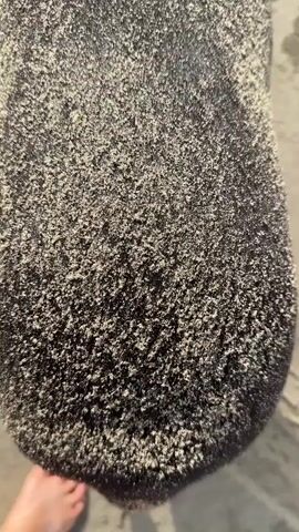 This video shows a close-up, overhead view of a dark-colored dog's back, covered in sand. The dog appears to be on a sandy beach, as evidenced by the texture of the ground visible in the background. The camera slowly pans upwards, revealing more of the dog's body, including its head and ears. A red collar is visible around the dog's neck. The dog's fur is matted and clumped with wet sand, giving it a textured appearance. The lighting suggests it is daytime. There are no people clearly visible in the frame.