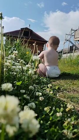 A baby wearing a diaper is sitting in a grassy area, surrounded by white clover flowers. The baby is facing away from the camera and appears to be reaching out and touching some of the flowers. In the background, there is a wooden house with a red roof, and part of a playground structure. The sky is blue with some white clouds. The sun is shining, creating a bright and airy atmosphere. The camera is positioned low to the ground, emphasizing the flowers and the baby's perspective.
