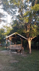 Quiet evening moments documented across Lhokseumawe gardens and yards
