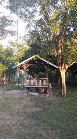 Quiet evening moments documented across Lhokseumawe gardens and yards
