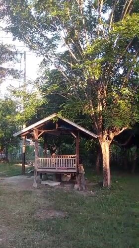 Quiet evening moments documented across Lhokseumawe gardens and yards