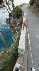 Dog walker enjoys afternoon stroll along Montenegro coast