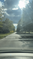 Witness captures varied daily scenes: driving, garden, car, toy