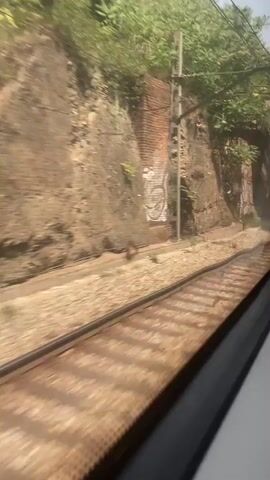 The video shows a view from inside a moving train. The train is traveling alongside a rocky embankment covered in dense green foliage. Below the embankment are train tracks, appearing weathered and rusty. Graffiti is visible on a brick wall to the left of the tracks in the early frames. A concrete structure, possibly a small station or platform, is present on the right side of the tracks later in the video. Overhead, a metal bridge or overpass is briefly visible. The lighting suggests it is daytime, with sunlight casting shadows. The motion blur indicates the train is in transit, and the perspective is from a window.