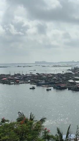 The video pans across a vast expanse of water, revealing a densely populated floating village. Numerous small houses, constructed on rafts and interconnected, cluster together, forming a labyrinthine network. Red-tiled roofs are a common feature. Various boats, ranging from small fishing vessels to larger motorboats, are moored amongst the dwellings or navigate the waterways. In the distance, a city skyline with tall buildings is visible, suggesting proximity to a larger urban area. The sky is overcast with thick clouds, and the water reflects the diffused sunlight. The foreground features lush green foliage, including palm fronds, adding a touch of nature to the otherwise man-made environment. The overall impression is of a self-contained community living directly on the water, dependent on boats for transportation and access.