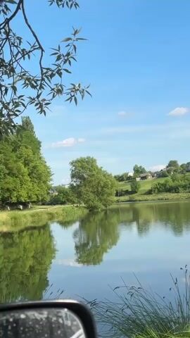 This is a vertical, handheld video clip filmed from the perspective of someone in a vehicle, likely parked near a body of water. The scene is a tranquil lake on a bright, sunny day. The sky is a vibrant blue with scattered white clouds, indicating pleasant weather.

The foreground shows the edge of the vehicle, including a silver side mirror and blades of tall grass. Beyond the grass, the calm surface of a lake reflects the surrounding landscape and the sky. The reflection is clear, with the trees and houses on the far bank mirrored in the water.

The middle ground features a lush green shoreline dotted with trees and some houses nestled on a gentle hill. The trees are full and vibrant, suggesting it is summertime. The overall setting appears to be a rural or semi-rural area, possibly a park or a quiet residential neighborhood near a lake.

The background consists of more trees, houses, and a clear blue sky with a few wispy clouds. There are no people visible in the clip, and the focus is on the natural scenery and the peaceful atmosphere. The time of day appears to be late morning or early afternoon due to the bright sunlight and distinct shadows.

The video evokes a sense of peace and natural beauty. The calm water, the green foliage, and the clear sky create a serene and idyllic environment. There is no visible text in the media file.