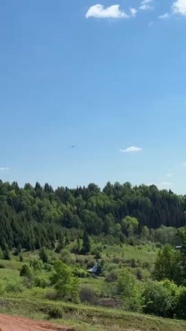 The video shows a rural landscape with a lush, green forest covering a hillside. A small building is visible nestled among the trees in the middle distance. The sky is a clear, bright blue with a few scattered clouds. A large bird flies across the upper part of the frame, its silhouette contrasting against the sky.