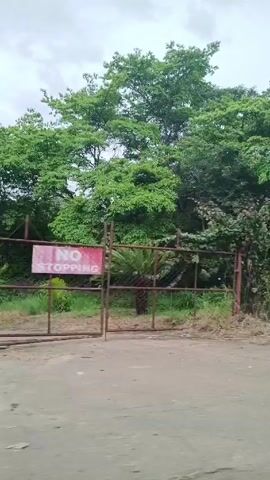The camera moves along a road with a guardrail on the right side. Lush green vegetation, including trees and bushes, lines the edge of the road. The sky is overcast. A road sign warning of winding roads is briefly visible on the right. The wind is blowing strongly.