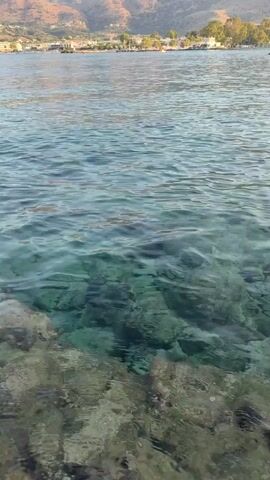 The video shows a close-up view of clear, shallow water with rocks visible beneath the surface. Gentle ripples move across the water. In the background, out of focus, is a coastline with buildings and hills. The water appears calm and the scene is likely outdoors during daylight.