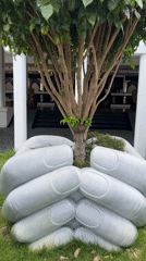 Morning scenes documented at Champa Island resort facility Vietnam
