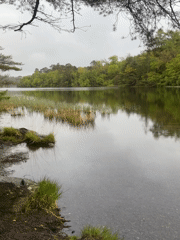 Rainy evening lake scene documented by witnesses in Llanrwst