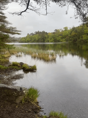 Rainy evening lake scene documented by witnesses in Llanrwst