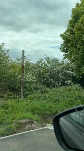The video shows a view from inside a car driving on a road next to a green grassy area and dense trees. The sky is visible in the background, appearing cloudy. The car's side mirror is visible in the bottom right of the frame.