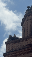 Historic church tower with bird's nest documented in Arévalo