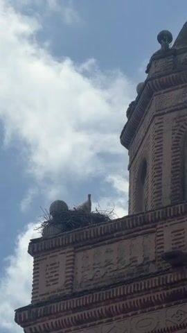 The video captures a low-angle view of a brick tower, likely a church or historic building, set against a bright, partly cloudy blue sky. A large bird's nest, made of interwoven branches and twigs, is prominently situated on a ledge near the top of the tower. Inside the nest, two birds, appearing to be storks, are visible. One stork is standing upright within the nest, while the other is partially obscured. Two spherical decorative elements are visible on the tower's ledge, positioned near the nest. The tower itself features intricate brickwork and architectural details, indicating an older structure. The scene depicts a tranquil daytime moment with natural light, showing the storks nesting high above. No text is visible in the frame. The location is Arévalo, Spain.