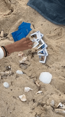 Person plays cards on beach in Santa Monica, Philippines