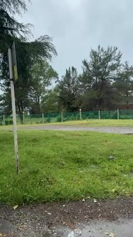 The video shows a brown horse grazing in a grassy area beside a road. A puddle is visible on the road in the foreground, indicating recent rain. Behind the horse, there is a green fence and a building. Trees surround the area, and the sky appears overcast. The camera moves slightly, tracking the horse as it grazes.
