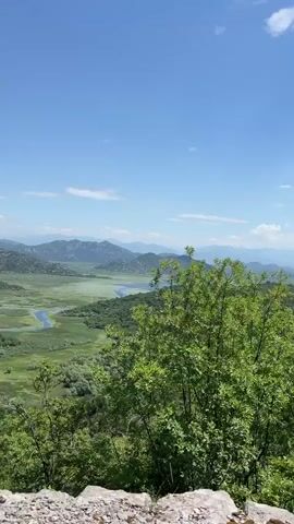 The video shows an expansive view of a landscape, with a lake or large body of water snaking through a valley. The valley is filled with green vegetation and forests. In the distance, mountains can be seen under a bright blue sky with scattered white clouds. The camera pans to the right, showing a foreground of trees and shrubs. The leaves of the trees are a vibrant green. The camera movement and framing suggest that the view is from a high vantage point, possibly a hilltop or overlook.