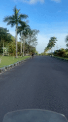 Vehicle travels palm-lined road toward monument in Kuta Selatan