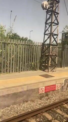 A low-angle shot, taken from a moving train, shows a train station platform. The platform is made of concrete with yellow safety lines along the edge. The wall behind the platform is covered in graffiti. A metal fence runs along the back of the platform, separating it from trees and vegetation. There are train tracks in the foreground. A person is seen sitting on the platform. Signs are visible in the background. The overall lighting suggests it is daytime.