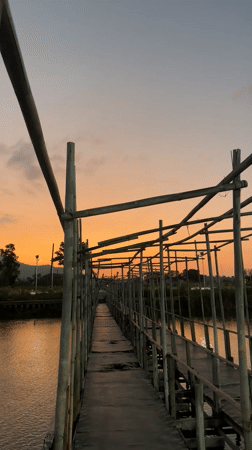 Woman enjoys casual meal at Thai restaurant