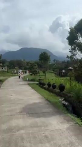 The video shows a paved path leading through a rural landscape towards a distant mountain.  The path is lined with grass, small trees, and occasional decorations such as large dark pots. To the left, there are small, whitewashed buildings. To the right, there is a rice paddy with lush green plants and a small stream running alongside the path. Several people are walking along the path in the distance, including a person holding the hand of a small child. The sky is overcast with large, puffy clouds.