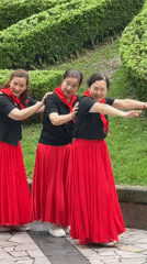 Women perform coordinated line dancing in Jiulongpo District park