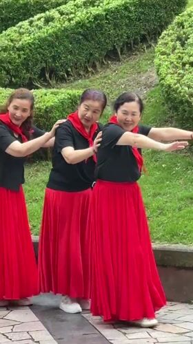 Women perform coordinated line dancing in Jiulongpo District park