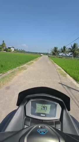 The video is a first-person perspective POV from a motorcycle traveling on a paved road through a rural area. The road is lined with green rice paddies on both sides, and there are palm trees and a few houses visible in the distance. The sky is clear and blue. The motorcycle's digital display shows a speed of 19 km/h at the beginning of the video, which increases to 22 km/h by the end. The Yamaha logo is visible on the display. The video is short and shows the motorcycle moving forward.