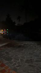 Nighttime pool area with tropical flowers captured in Mũi Né