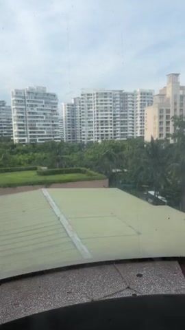 A vertical video shows a view from a window. The foreground features a green metal roof. Beyond the roof, a lush green area with palm trees and other foliage is visible. Several modern apartment buildings with white facades and numerous windows dominate the background. The sky is overcast. A black screen or shade is lowered from the top, obscuring a portion of the top of the frame.