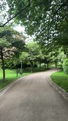 This video shows a dirt path winding through a park-like setting. Tall trees with green foliage line the path, creating a canopy overhead. On the left side of the path, a building with a light-colored facade is partially visible behind the trees. The ground on either side of the path is covered in green grass. The path itself appears well-maintained. The overall impression is of a peaceful, natural environment.