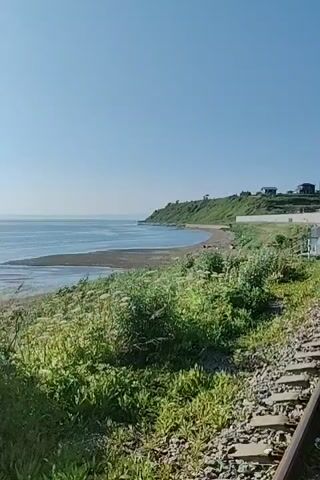 The video shows a coastal scene with a body of water, likely the sea, in the background. In the foreground, there are railroad tracks and lush green vegetation, including tall grasses and flowering plants. The sky is clear and blue. The camera appears to be moving, possibly panning or being carried, as the perspective of the scene shifts slightly throughout the short clips. The sunlight glints off the water in some of the frames, indicating a bright, sunny day. There are no people visible in the video. The environment suggests a rural or semi-rural location along a coastline with a railway line running adjacent to it.