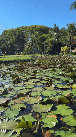 Morning leisure scenes captured in Kuta Selatan, Indonesia