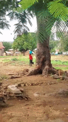 Rural morning routines underway in Kabwir, Nigeria