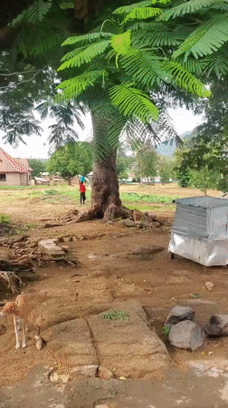 Rural morning routines underway in Kabwir, Nigeria