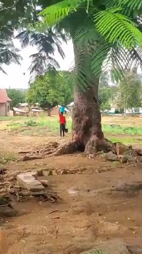 Rural morning routines underway in Kabwir, Nigeria