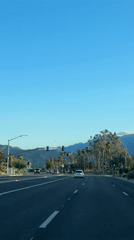 Driver captures sunny Palm Springs street view with palms