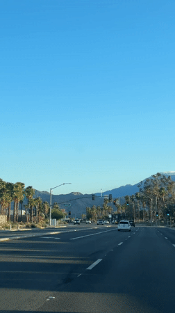 Driver captures sunny Palm Springs street view with palms
